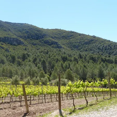 La Marlesita Villa El Montmell