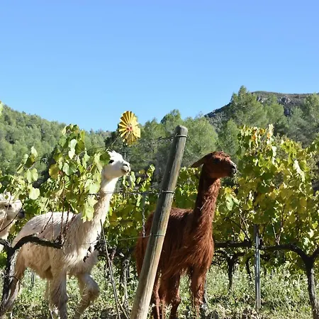 Vila La Marlesita El Montmell